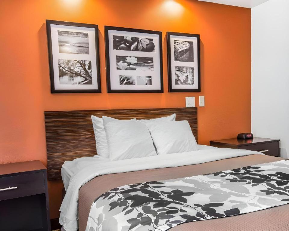 Sleep Inn Bessemer Helena Exteriér fotografie
