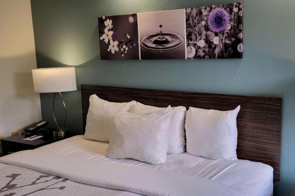 Sleep Inn Bessemer Helena Exteriér fotografie