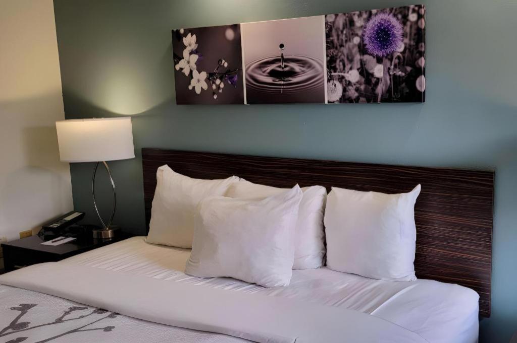 Sleep Inn Bessemer Helena Exteriér fotografie